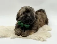 processed/549a53d0-36af-4443-8024-677310ead660/listing/2374899a-4f24-430c-8a6c-33cbfc7809bb/5a15270d-7f26-4944-9912-7eda1cf412a0