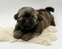 processed/549a53d0-36af-4443-8024-677310ead660/listing/2374899a-4f24-430c-8a6c-33cbfc7809bb/72f4ef2d-f31f-4a81-9924-3a13ef49791a