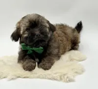 processed/549a53d0-36af-4443-8024-677310ead660/listing/2374899a-4f24-430c-8a6c-33cbfc7809bb/770c9e85-b15d-4b9c-9093-e93cae133862