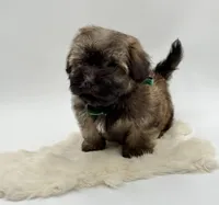 processed/549a53d0-36af-4443-8024-677310ead660/listing/2374899a-4f24-430c-8a6c-33cbfc7809bb/7c6ade99-1235-4328-b240-e60eb035ac4a