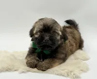 processed/549a53d0-36af-4443-8024-677310ead660/listing/2374899a-4f24-430c-8a6c-33cbfc7809bb/bb8f15c4-e770-4610-ac55-d25745d299eb