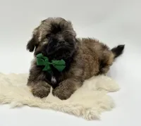 processed/549a53d0-36af-4443-8024-677310ead660/listing/2374899a-4f24-430c-8a6c-33cbfc7809bb/d31f5180-6a0d-40c4-9c6e-df39ada791f0