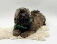 processed/549a53d0-36af-4443-8024-677310ead660/listing/2374899a-4f24-430c-8a6c-33cbfc7809bb/eabeb5f2-52a4-4b35-b0e2-e0ac3d448bf4