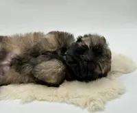 processed/549a53d0-36af-4443-8024-677310ead660/listing/2374899a-4f24-430c-8a6c-33cbfc7809bb/ed4b80fa-97c2-4620-8d70-05f1ef743d82