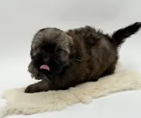 processed/549a53d0-36af-4443-8024-677310ead660/listing/2374899a-4f24-430c-8a6c-33cbfc7809bb/f88e2c3f-1a3b-4a92-81ee-46221354ad51