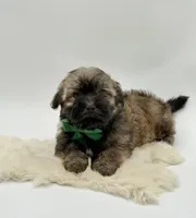 processed/549a53d0-36af-4443-8024-677310ead660/listing/2374899a-4f24-430c-8a6c-33cbfc7809bb/fabd4a19-ab8f-46a0-88e7-968406e926a1