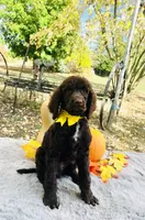 processed/549a53d0-36af-4443-8024-677310ead660/listing/aef6918a-eb1b-4165-b6d5-277dccb29545/144cb129-bece-41b4-be0d-5968440c8008