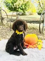 processed/549a53d0-36af-4443-8024-677310ead660/listing/aef6918a-eb1b-4165-b6d5-277dccb29545/91d8bda6-60e7-4a74-ac28-d6b907bd2f6b