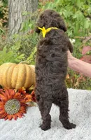 processed/549a53d0-36af-4443-8024-677310ead660/listing/aef6918a-eb1b-4165-b6d5-277dccb29545/9a79a4e0-80dd-4a82-9a08-d5a723387cb2