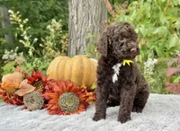 processed/549a53d0-36af-4443-8024-677310ead660/listing/aef6918a-eb1b-4165-b6d5-277dccb29545/c39aa943-3326-490f-ba0a-de234cfaf81c