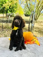 processed/549a53d0-36af-4443-8024-677310ead660/listing/aef6918a-eb1b-4165-b6d5-277dccb29545/e13c3962-c8b5-402d-9100-3290953e8fc8