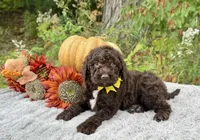 processed/549a53d0-36af-4443-8024-677310ead660/listing/aef6918a-eb1b-4165-b6d5-277dccb29545/fe7ea9a5-1738-4d67-b082-7a149c998fe3