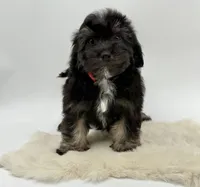 processed/549a53d0-36af-4443-8024-677310ead660/listing/e6659275-7c2a-4ac2-be74-6a0696c70058/102969ee-ab43-4816-b9ec-b9cb566c28a2