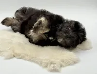 processed/549a53d0-36af-4443-8024-677310ead660/listing/e6659275-7c2a-4ac2-be74-6a0696c70058/266d88aa-97d5-44d5-9b55-5bc94a7dca96