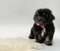 processed/549a53d0-36af-4443-8024-677310ead660/listing/e6659275-7c2a-4ac2-be74-6a0696c70058/91b0afd0-2f86-4238-ae5c-d3dd2a11094b