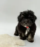 processed/549a53d0-36af-4443-8024-677310ead660/listing/e6659275-7c2a-4ac2-be74-6a0696c70058/e2ae5ff9-b130-4809-bd60-5fe86e6fb2fa