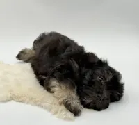 processed/549a53d0-36af-4443-8024-677310ead660/listing/e6659275-7c2a-4ac2-be74-6a0696c70058/eae1e233-6b87-4e6e-ad4f-432a6cb86926