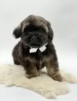 processed/549a53d0-36af-4443-8024-677310ead660/listing/e7ec0255-e607-4204-a3ab-ac4373377779/1453576a-bd82-418a-b24c-9e6a82a86097