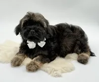 processed/549a53d0-36af-4443-8024-677310ead660/listing/e7ec0255-e607-4204-a3ab-ac4373377779/1b3b981a-d7e1-4616-b032-82f26ef44025