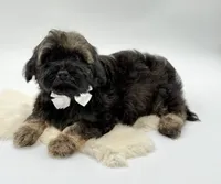 processed/549a53d0-36af-4443-8024-677310ead660/listing/e7ec0255-e607-4204-a3ab-ac4373377779/2d2ec812-40b6-4a1d-ba8f-9d6e35d23010