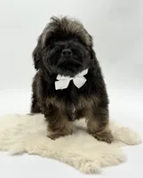 processed/549a53d0-36af-4443-8024-677310ead660/listing/e7ec0255-e607-4204-a3ab-ac4373377779/575e34d6-30a9-4568-8855-9fabc1ba4140