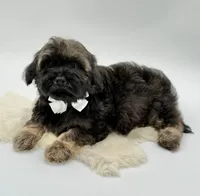 processed/549a53d0-36af-4443-8024-677310ead660/listing/e7ec0255-e607-4204-a3ab-ac4373377779/9c1f15b4-6c3d-4d5e-998f-62d6756b3042