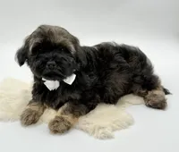 processed/549a53d0-36af-4443-8024-677310ead660/listing/e7ec0255-e607-4204-a3ab-ac4373377779/a7ea3407-32f1-43b2-b48f-c17c306a25c1