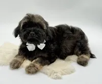 processed/549a53d0-36af-4443-8024-677310ead660/listing/e7ec0255-e607-4204-a3ab-ac4373377779/c4086832-016a-4b54-971a-36333524f77a