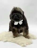 processed/549a53d0-36af-4443-8024-677310ead660/listing/e7ec0255-e607-4204-a3ab-ac4373377779/d1075bcf-4b85-40ea-8edd-40e8e5fe68da