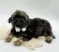 processed/549a53d0-36af-4443-8024-677310ead660/listing/e7ec0255-e607-4204-a3ab-ac4373377779/ebe9bca9-8ffd-4ebf-a572-51d704621bac