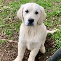 processed/54ac20ee-9957-4c43-aeee-c5056ba082fe/facility/0dce2b3a-91f1-47ea-8fe2-ec8d6cc786e9