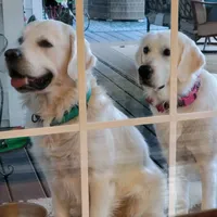 processed/54ac20ee-9957-4c43-aeee-c5056ba082fe/facility/1b4cdac0-5d7e-47b4-908f-3f75d7b6a297