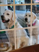 processed/54ac20ee-9957-4c43-aeee-c5056ba082fe/facility/1b4cdac0-5d7e-47b4-908f-3f75d7b6a297