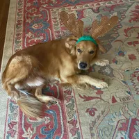 processed/54ac20ee-9957-4c43-aeee-c5056ba082fe/facility/28d6e63e-af91-4e4e-a221-119c1136e0a9