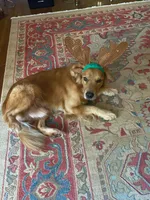 processed/54ac20ee-9957-4c43-aeee-c5056ba082fe/facility/28d6e63e-af91-4e4e-a221-119c1136e0a9