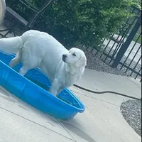 processed/54ac20ee-9957-4c43-aeee-c5056ba082fe/facility/31fb8f3b-d8f8-45ea-9189-b8b577796b36