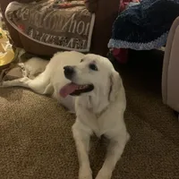 processed/54ac20ee-9957-4c43-aeee-c5056ba082fe/facility/37a678b0-22d0-41ac-beeb-ef619a0fa3c7