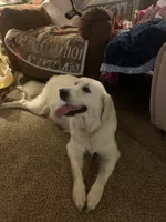 processed/54ac20ee-9957-4c43-aeee-c5056ba082fe/facility/37a678b0-22d0-41ac-beeb-ef619a0fa3c7