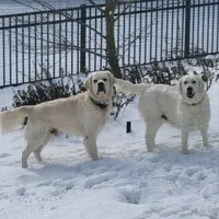 processed/54ac20ee-9957-4c43-aeee-c5056ba082fe/facility/8f38147c-3510-490d-8dfa-f4a4ecdff73a