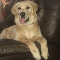 processed/54ac20ee-9957-4c43-aeee-c5056ba082fe/facility/9f8fc6dc-2548-4bea-b0a7-b9d44846ebd8