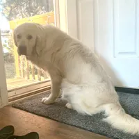 processed/54ac20ee-9957-4c43-aeee-c5056ba082fe/facility/d05d79f0-2284-4a08-b3f7-1d169bb3d2ea