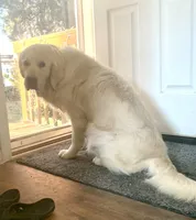 processed/54ac20ee-9957-4c43-aeee-c5056ba082fe/facility/d05d79f0-2284-4a08-b3f7-1d169bb3d2ea