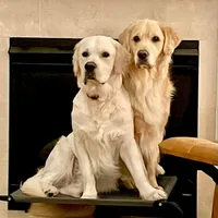 processed/54ac20ee-9957-4c43-aeee-c5056ba082fe/facility/f4198844-e143-4251-b767-eb01262d4b2c