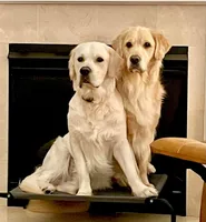 processed/54ac20ee-9957-4c43-aeee-c5056ba082fe/facility/f4198844-e143-4251-b767-eb01262d4b2c