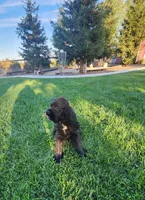 processed/54b58cfb-d7fe-49e6-b738-794a639261b6/facility/5c88448e-9728-4bdb-9fc1-a7094d4fb13d