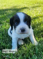 processed/54b58cfb-d7fe-49e6-b738-794a639261b6/facility/8688be0f-31e2-4037-9546-31308c4c5e6c