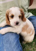 processed/54b58cfb-d7fe-49e6-b738-794a639261b6/facility/9f54abe5-76bb-462a-bed0-bc6f3cf13293