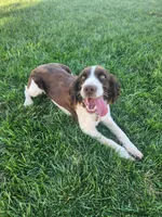 processed/54b58cfb-d7fe-49e6-b738-794a639261b6/facility/a54de578-55c3-4b12-9905-1c6db33697fd