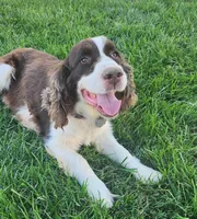 processed/54b58cfb-d7fe-49e6-b738-794a639261b6/facility/fbb04a44-1e6c-46c9-b969-1875752f61f7