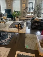 Roxie, a female Bernedoodle for sale in Upper Marlboro, MD – 2 of 3